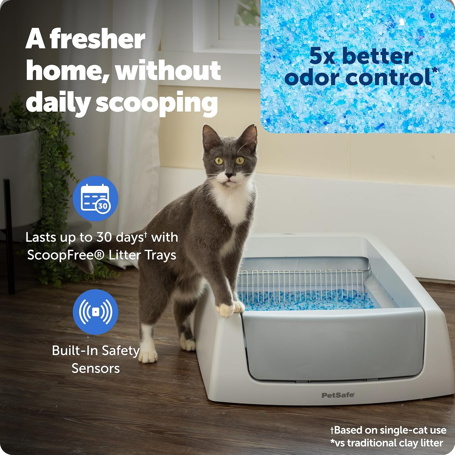 PetSafe ScoopFree in 2025: Which Model to Buy and Which to Skip