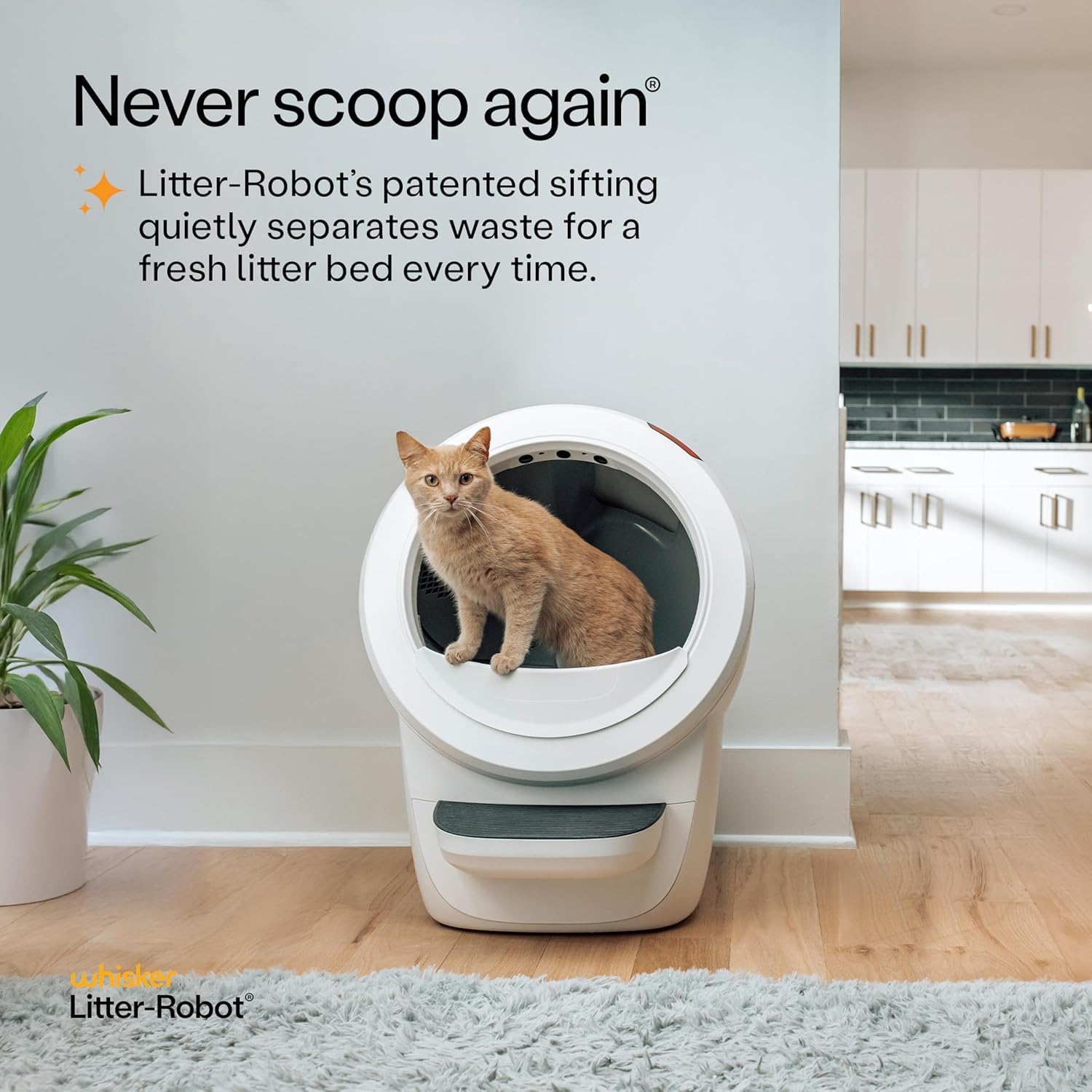 Litter-Robot 4 at $699: What You'll Actually Spend Over Five Years