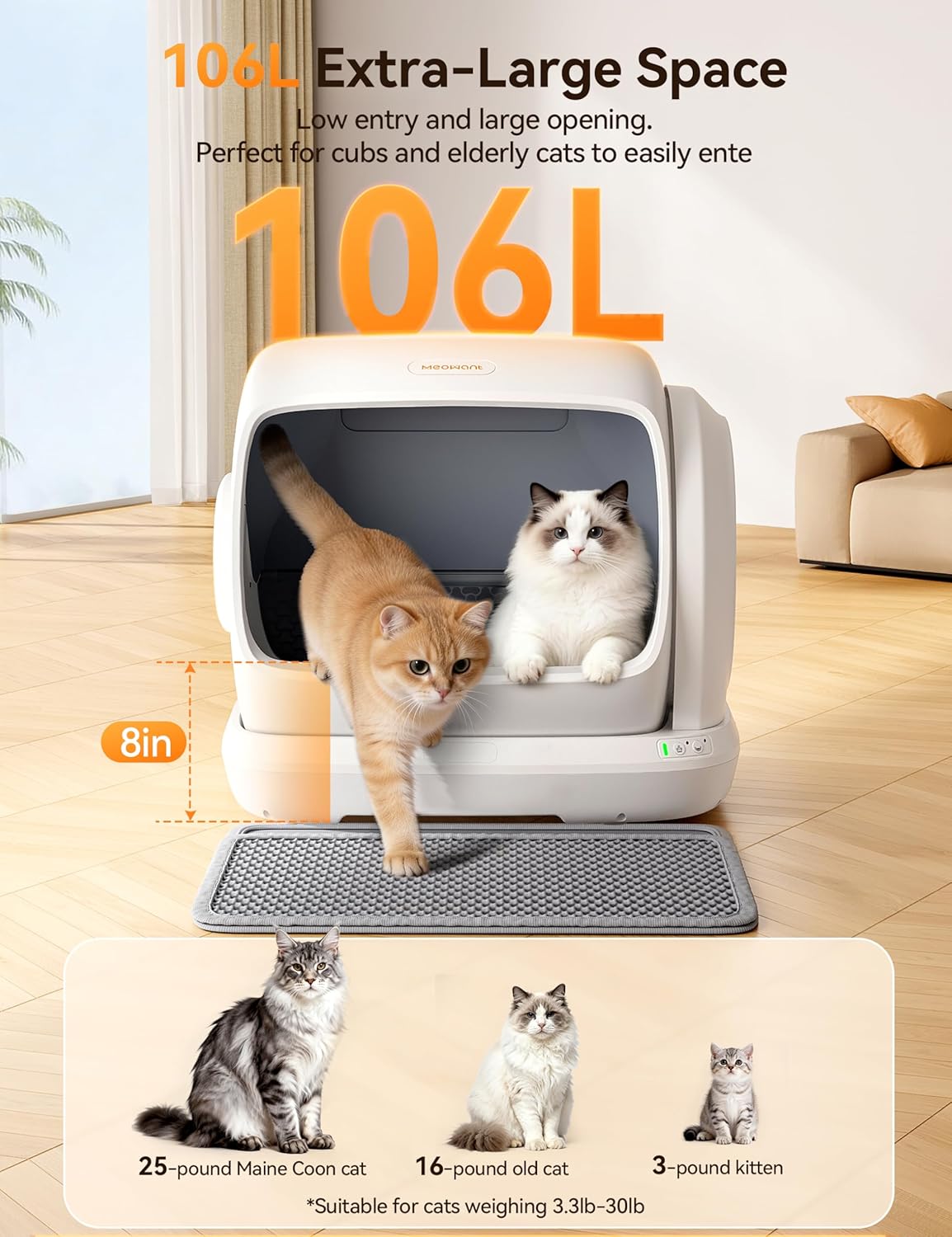 3 Cats, 1 Box: How to Pick a Self-Cleaning Litter Box for a Multi-Cat Home